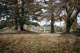 Photographie enfant courant dans un parc Limoges 