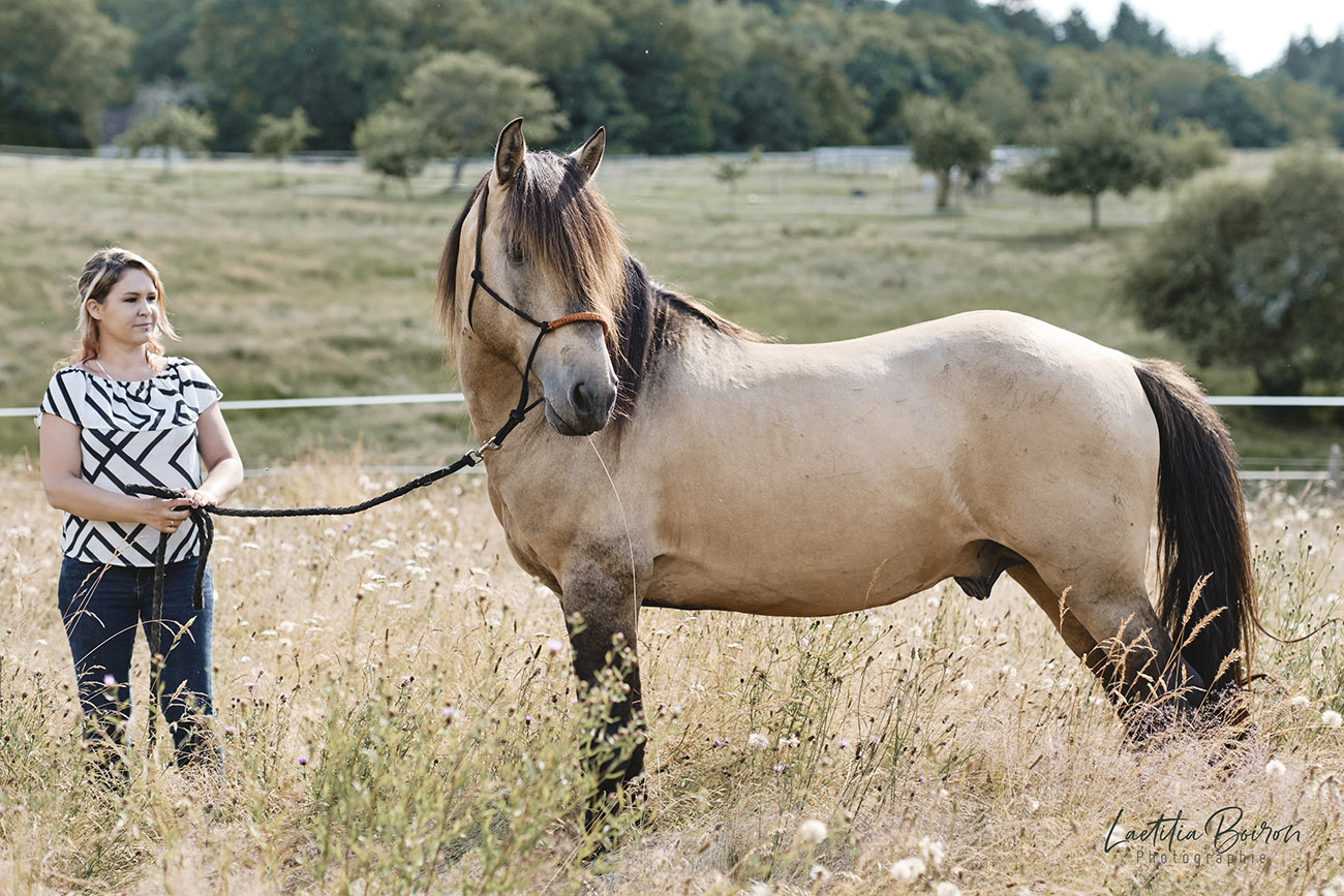 Session photos cheval à Compreignac, Haute-Vienne, Limousin
    