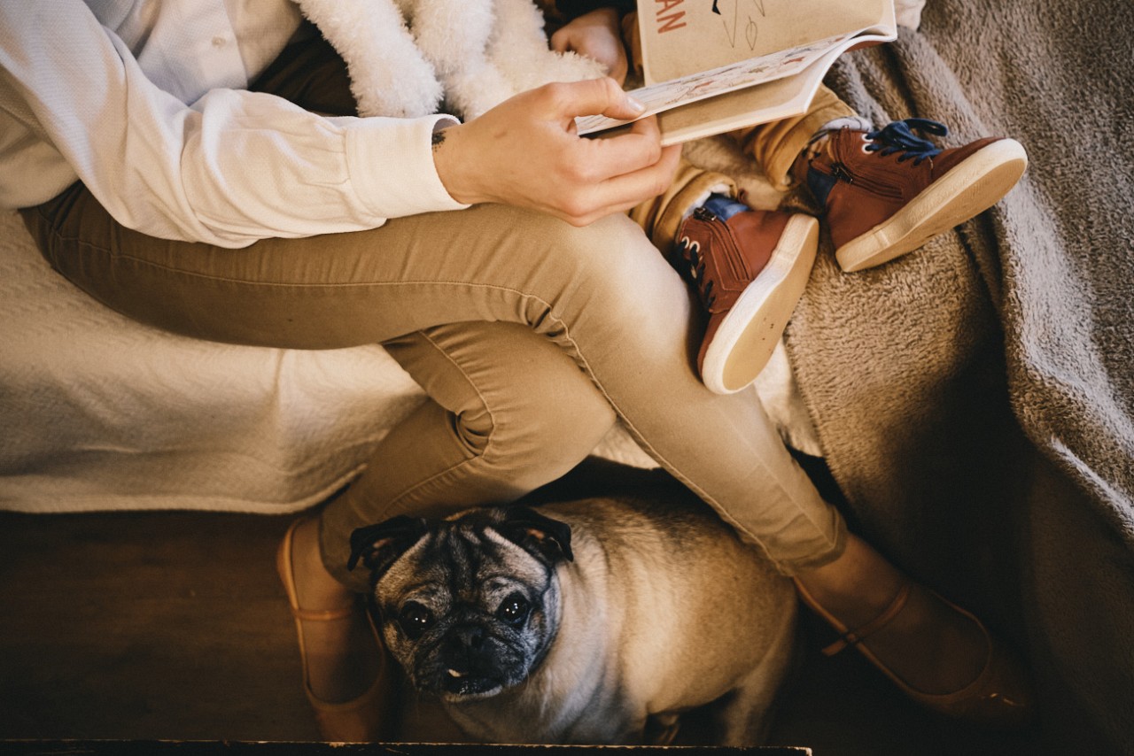 Le chien fait parti de la famille