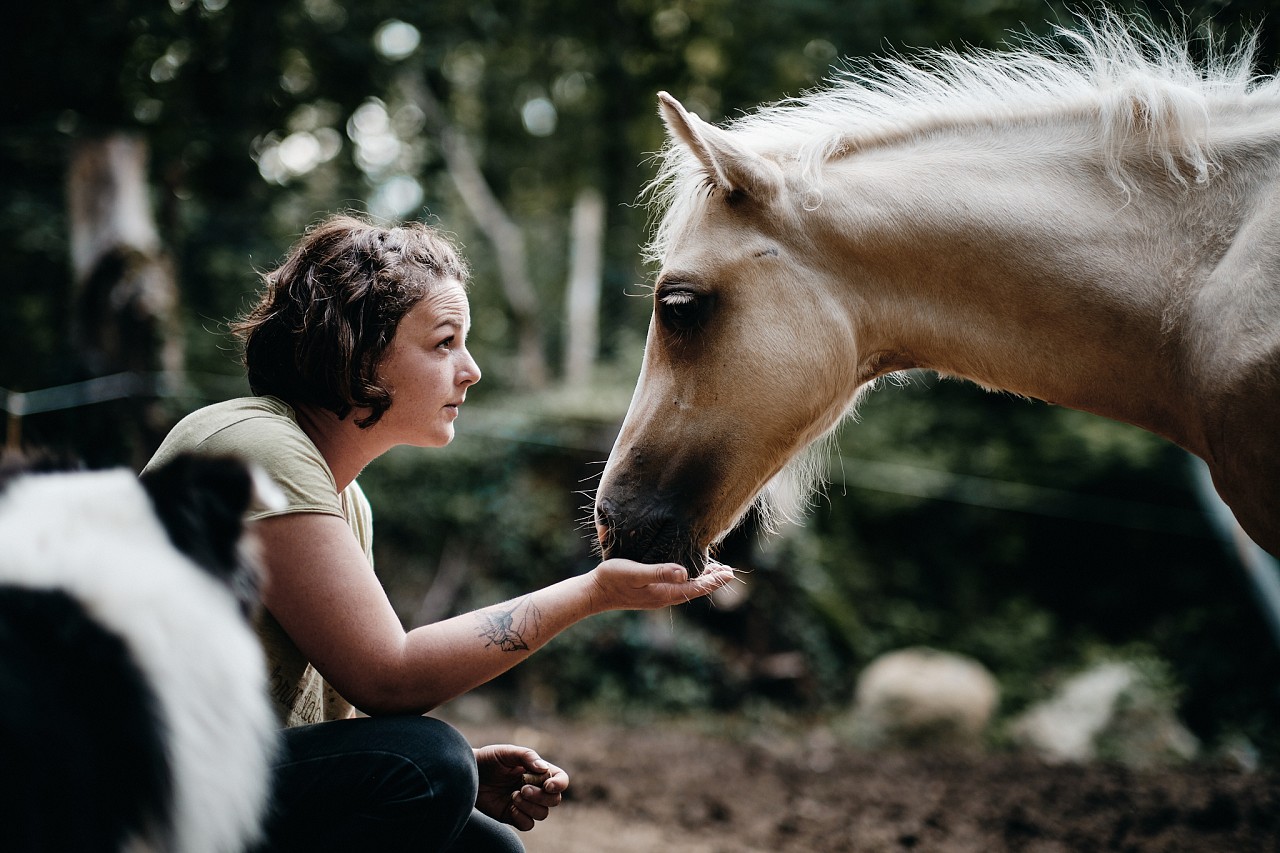 Séance avec Céline et ses chevaux à Limoges
