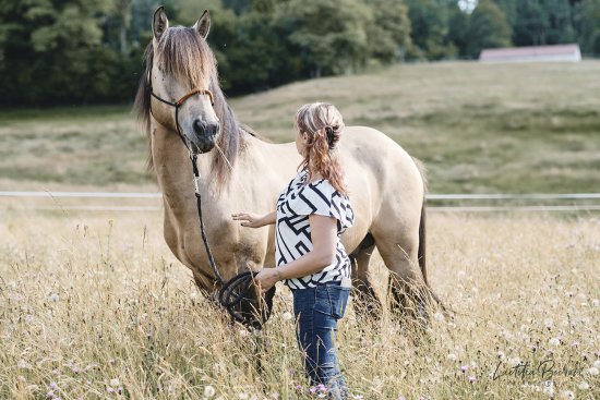 Session photos cheval à Compreignac, Haute-Vienne, Limousin