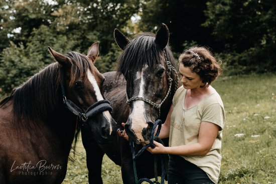 chevaux 169