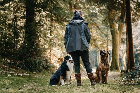 Céline est ses jeunes chiens