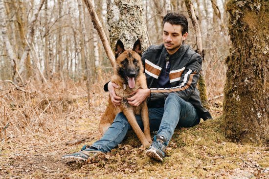 Malinois et son maître