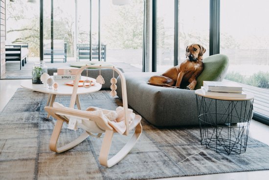 Le chien Petra Rhodesian Ridgeback devant transat LEVO et nouveau-né