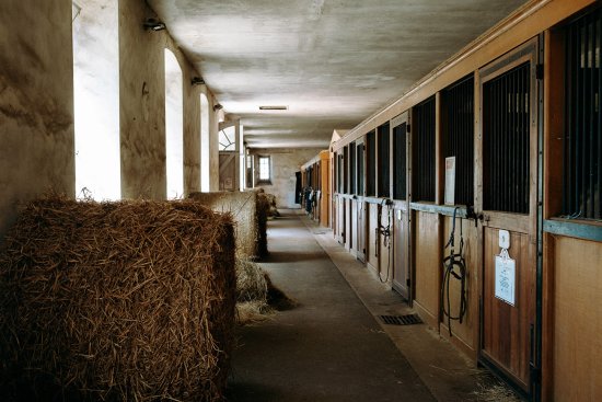 Ecuries et box du château de Pompadour