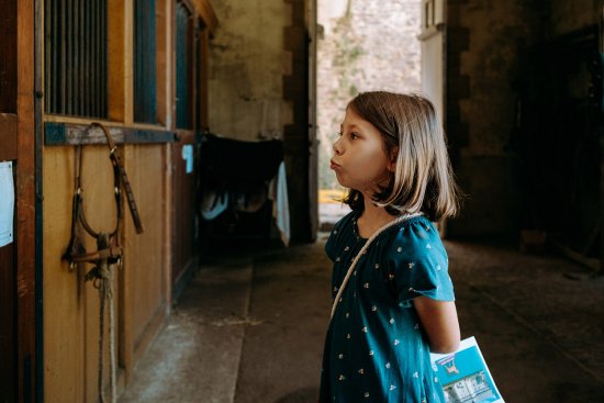 Face au cheval château de Pompadour