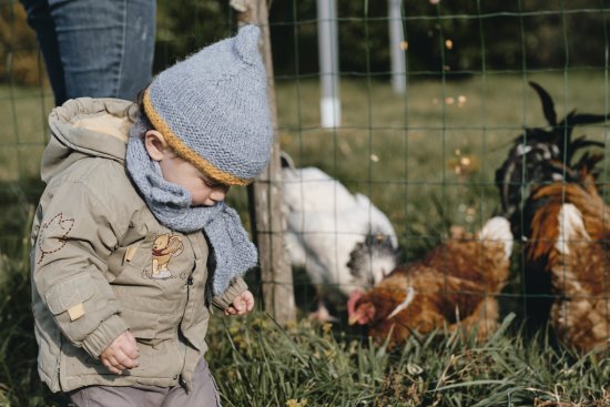 Ezekiel et les poules