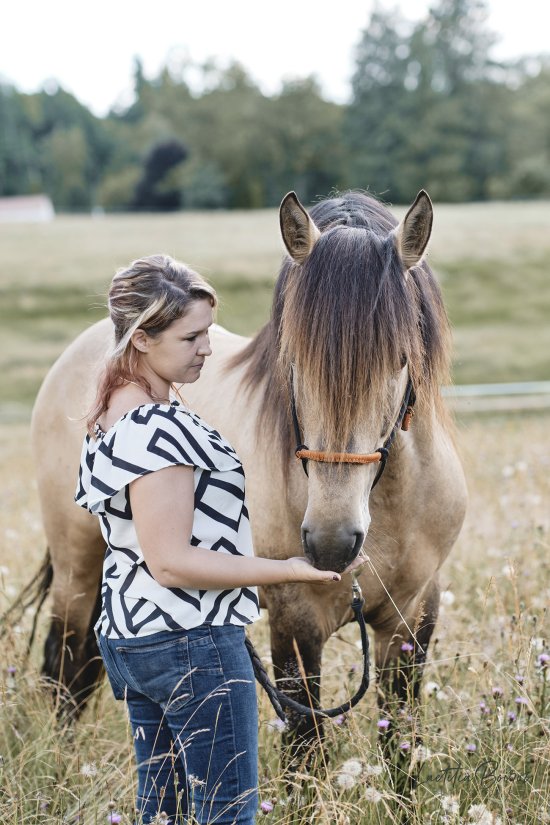 Session photos cheval à Compreignac, Haute-Vienne, Limousin