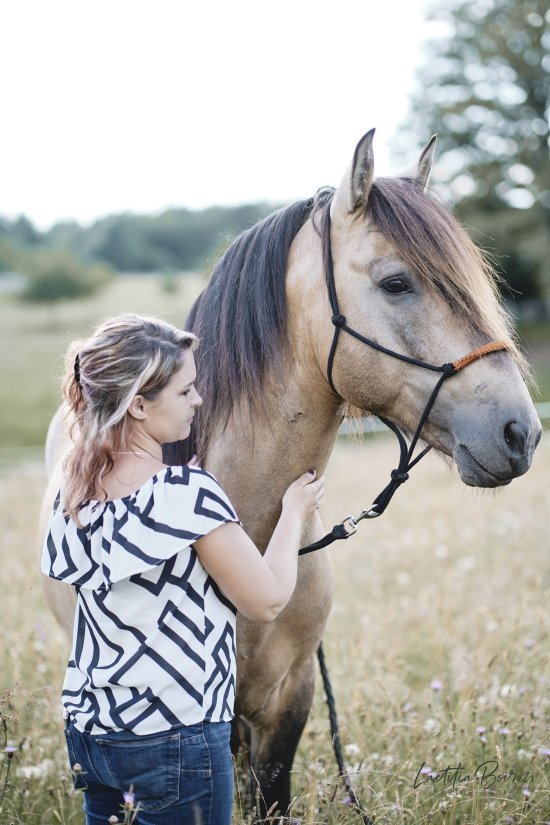 Session photos cheval à Compreignac, Haute-Vienne, Limousin