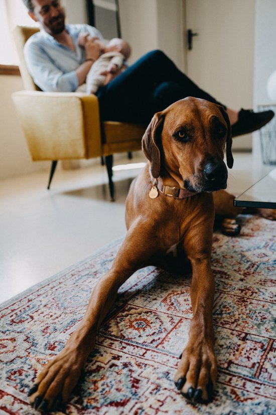 Séance naissance avec chien