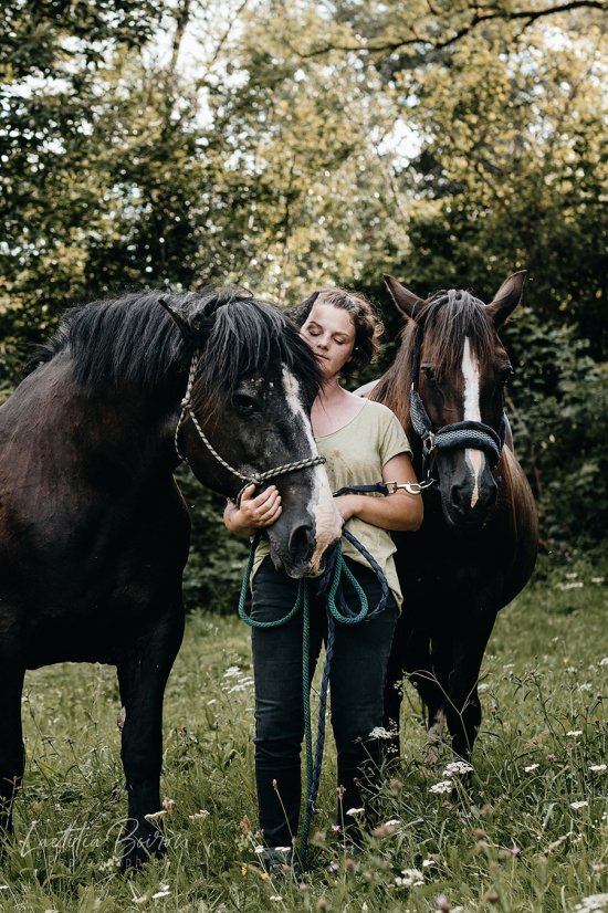 chevaux 180